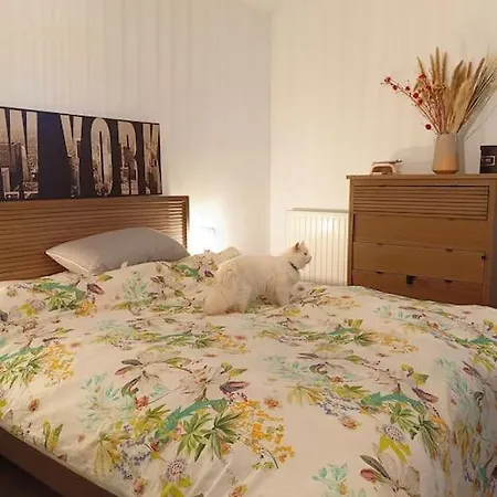 Apartmán Cosy Flat-positive Vibes-4pers Montpellier