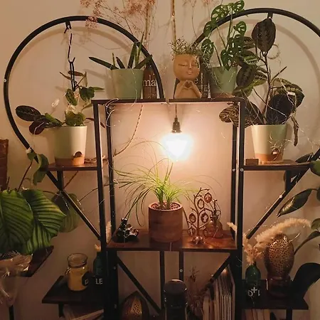 Cosy Flat-positive Vibes-4pers Apartmán Montpellier