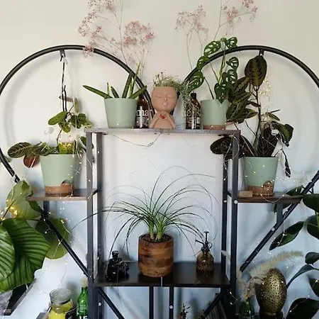 Cosy Flat-positive Vibes-4pers *