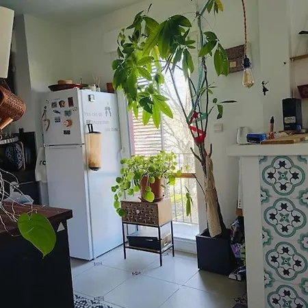 Cosy Flat-positive Vibes-4pers * Montpellier